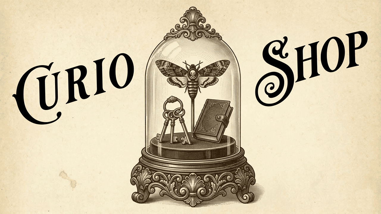 Curio Shop